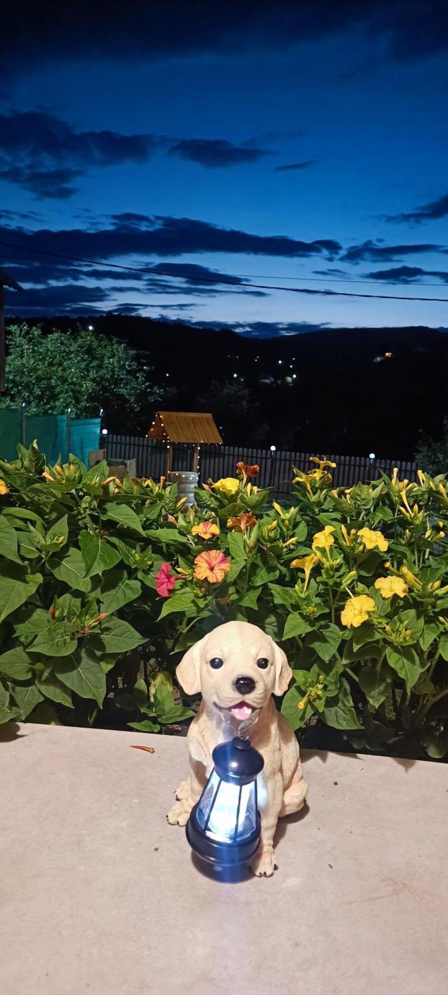 Secaria Casuta Din Livada 빌라 외부 사진